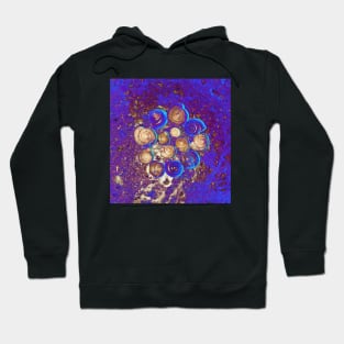 Snail Shells- Violet Blue Hoodie